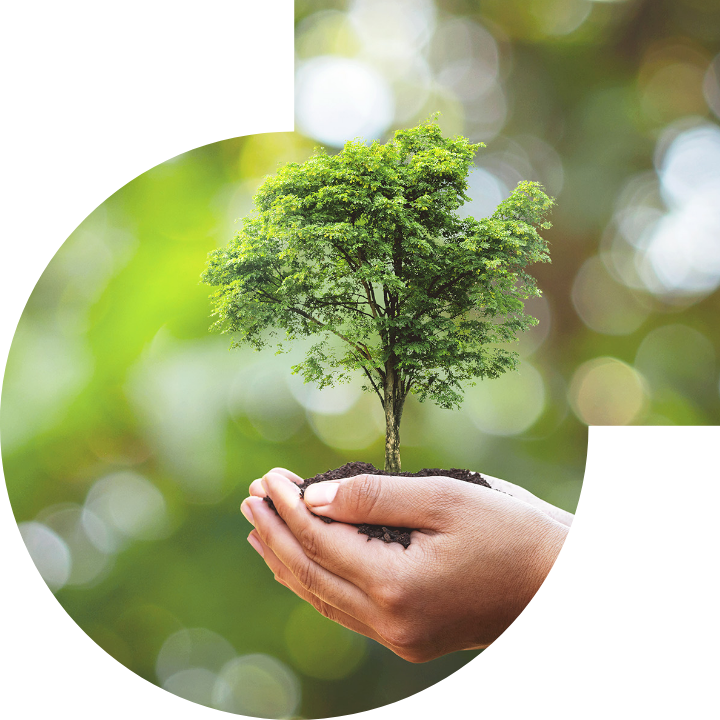 关怀人类、文化、环境与社会